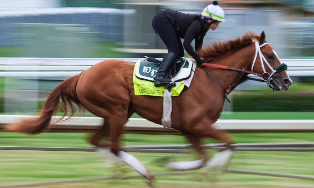 betting with - best horse betting site