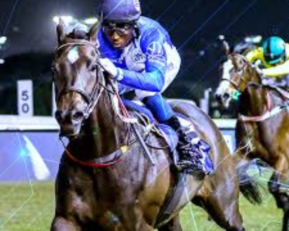 bet by best horse betting site