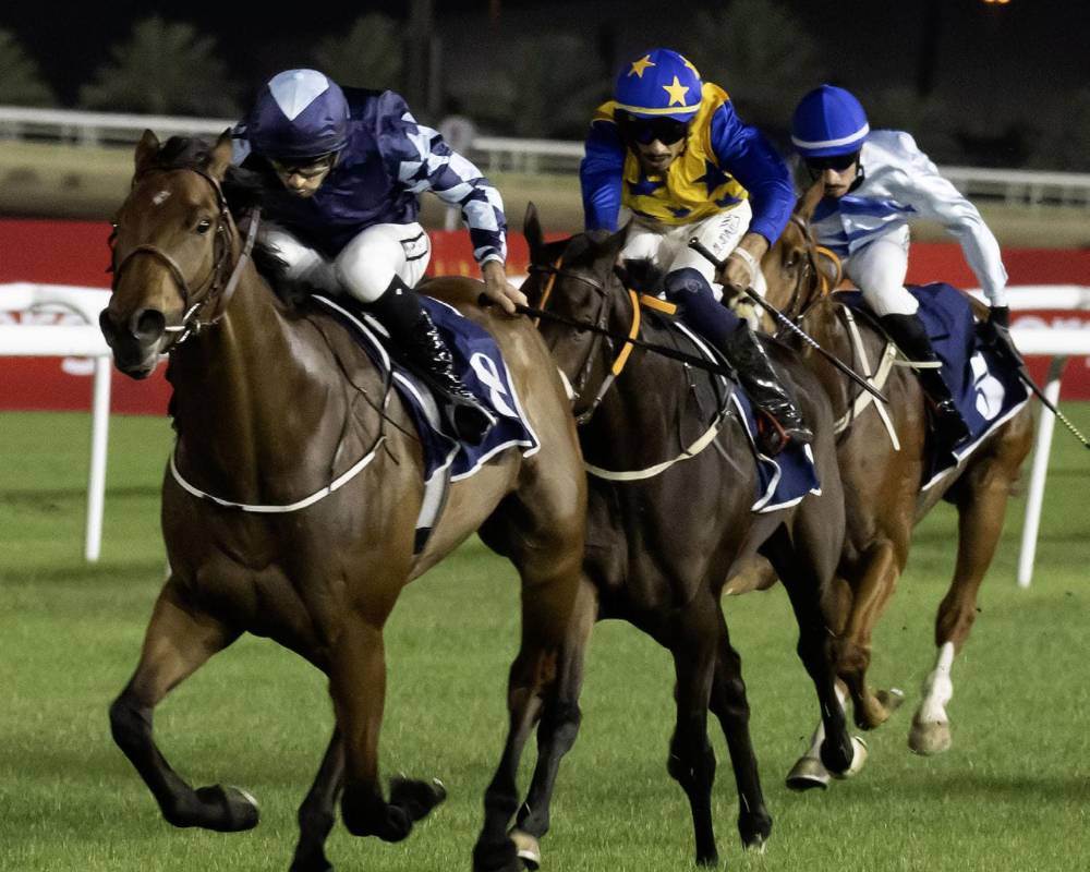 best horse betting site on 11xplaycricid